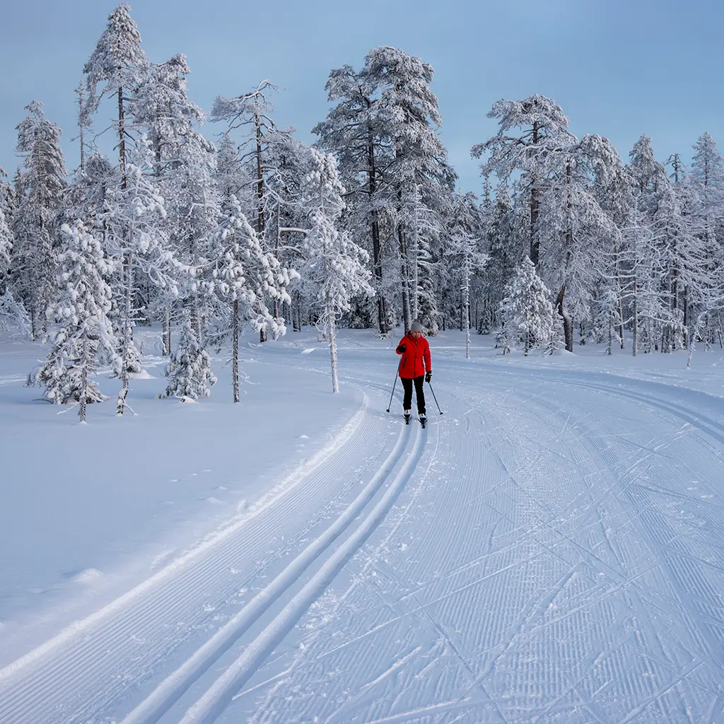 Ski de fond en Laponie avec Namaste